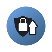 Icon 1